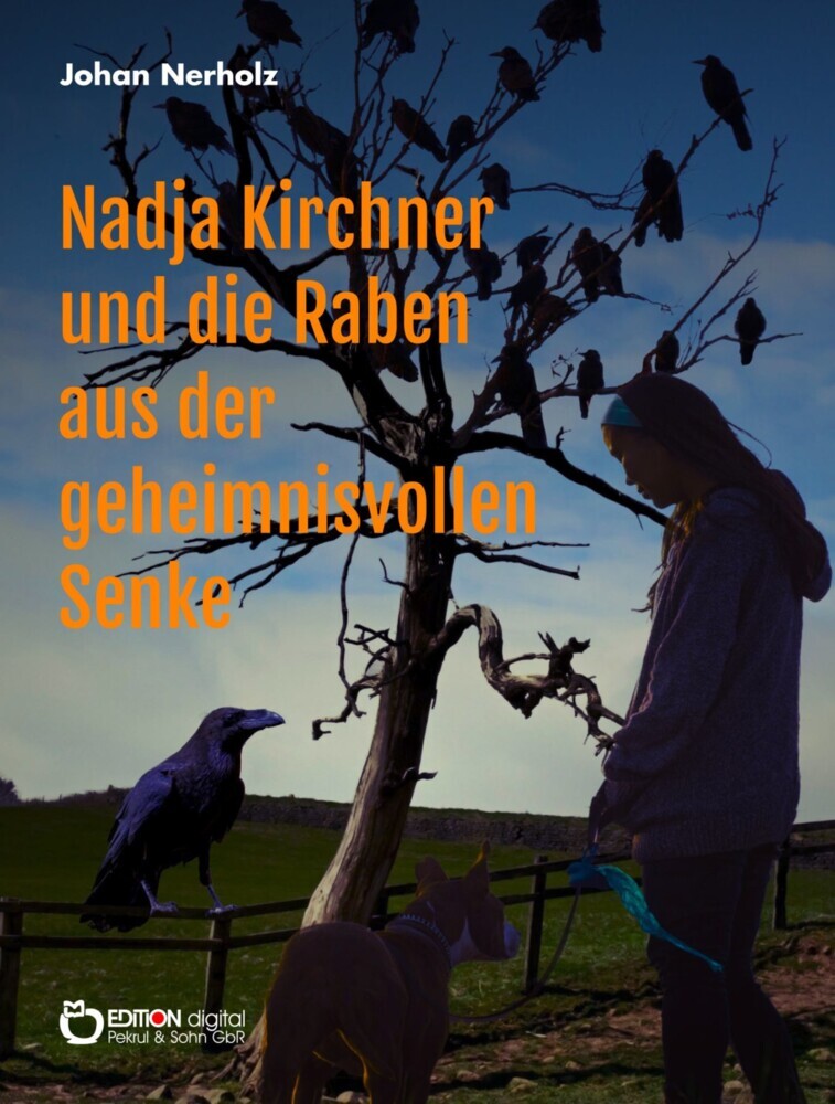 Nadja Kirchner und die Raben aus der geheimnisvollen Senke main product photo