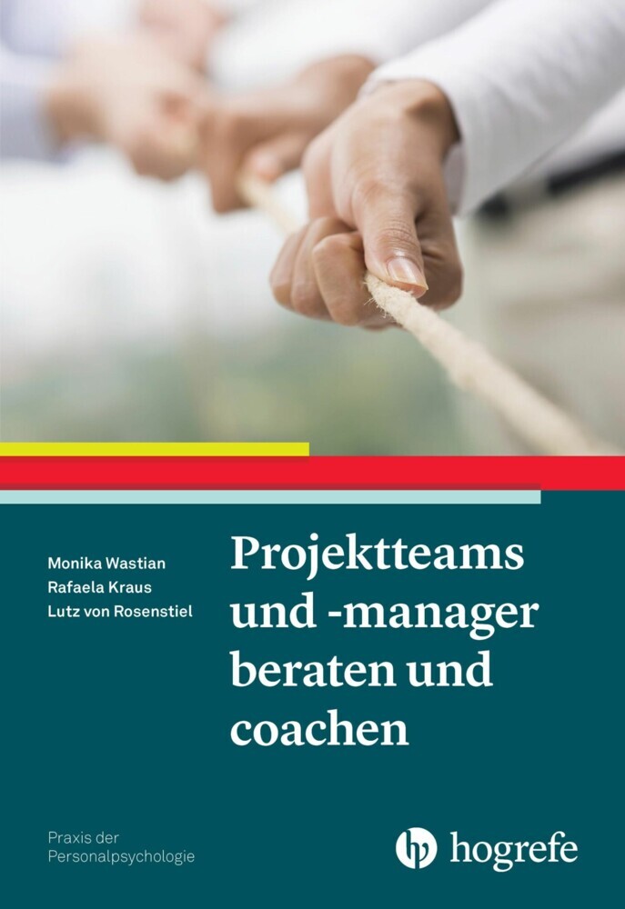 Projektteams und -manager beraten und coachen main product photo