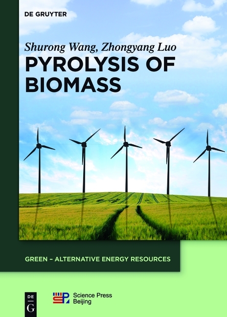 Pyrolysis of Biomass main product photo
