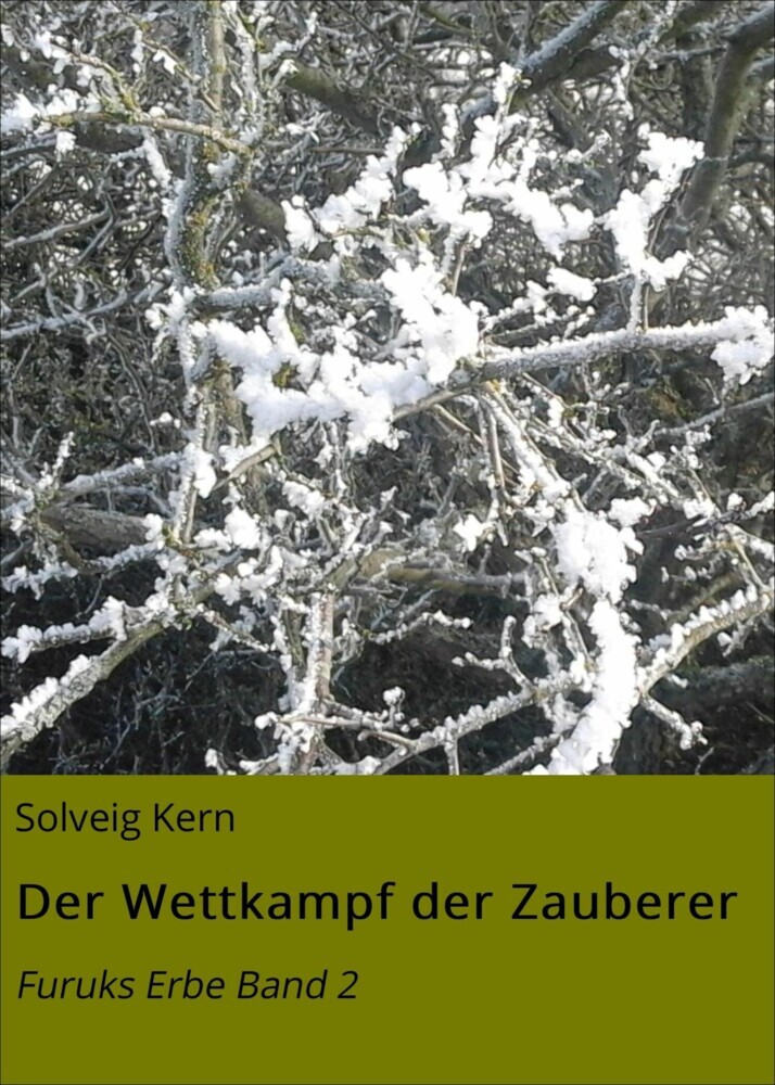 Der Wettkampf der Zauberer main product photo
