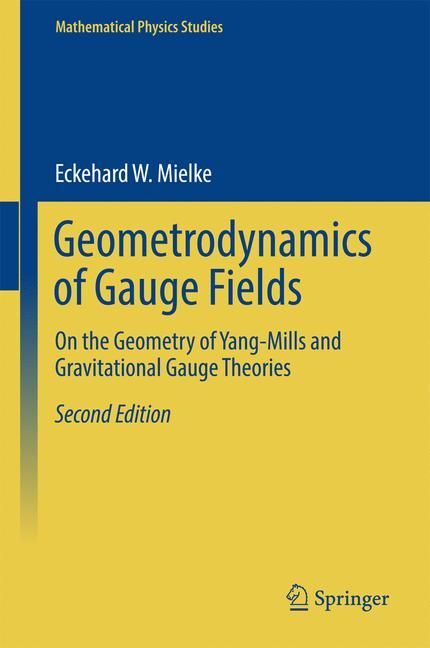 Geometrodynamics of Gauge Fields main product photo