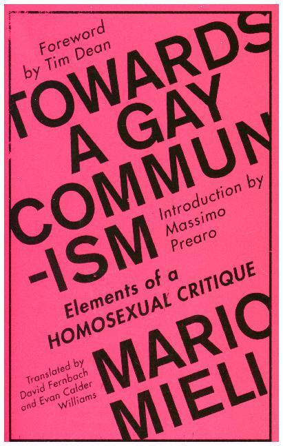 Towards a Gay Communism main product photo