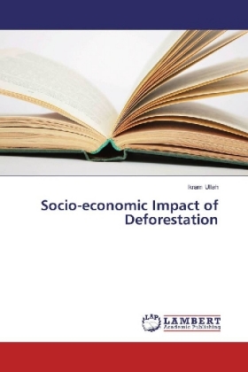 Socio-economic Impact of Deforestation