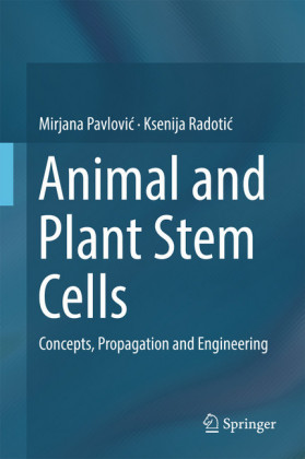 Animal and Plant Stem Cells