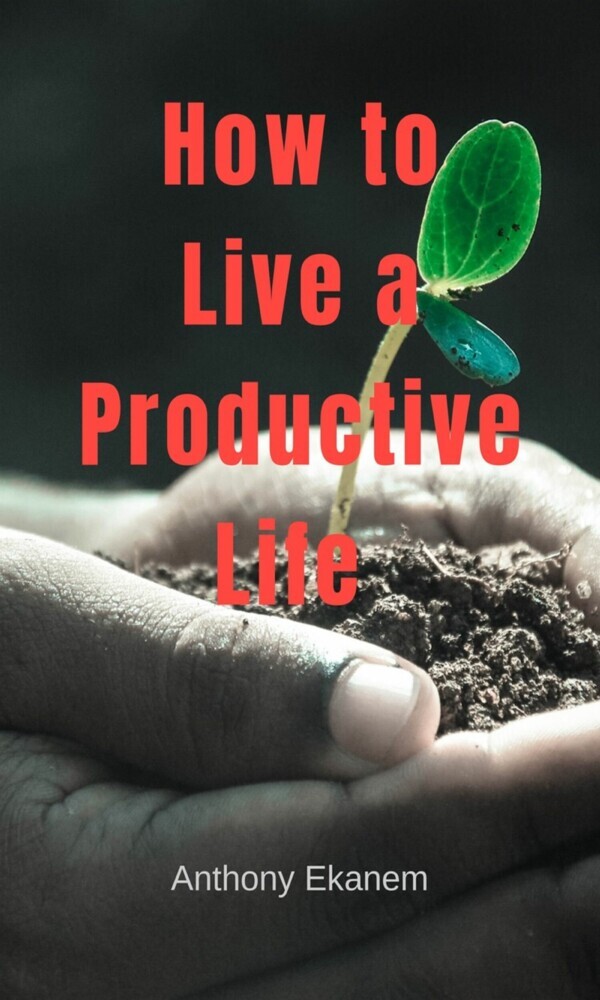 The Organized Life main product photo