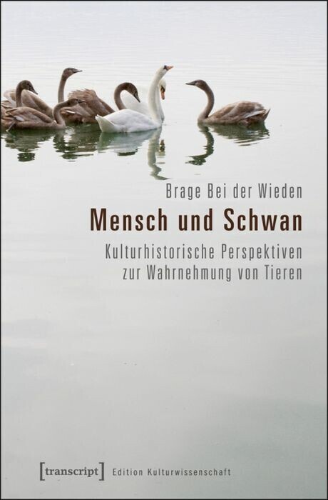 Mensch und Schwan main product photo