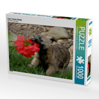 CALVENDO Puzzle Cairn Terrier Welpe | 1000 Teile Lege-Größe ...