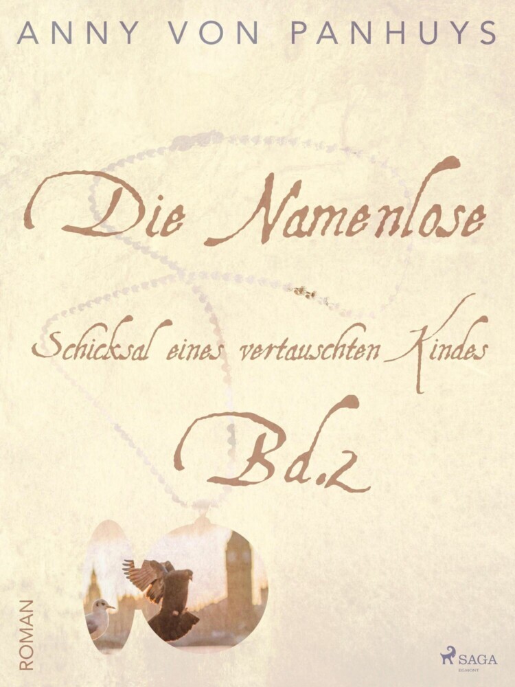 Die Namenlose. Schicksal eines vertauschten Kindes Bd.2 main product photo