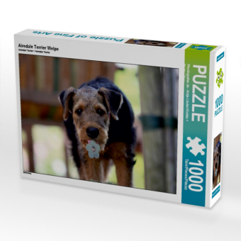 CALVENDO Puzzle Airedale Terrier Welpe | 1000 Teile Lege-Grö�...