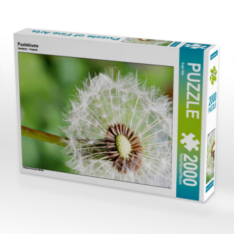 CALVENDO Puzzle Pusteblume | 2000 Teile Lege-Größe 90x67cm Foto-Puzzle für glückliche Stunden