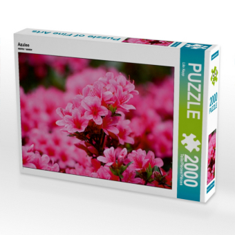 CALVENDO Puzzle Azalee | 2000 Teile Lege-Größe 90x67cm Foto-Puzzle für glückliche Stunden