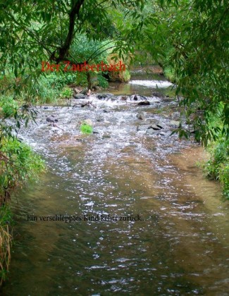 Der Zauberbach