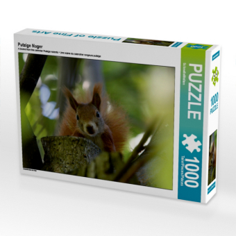 Putzige Nager (Puzzle)