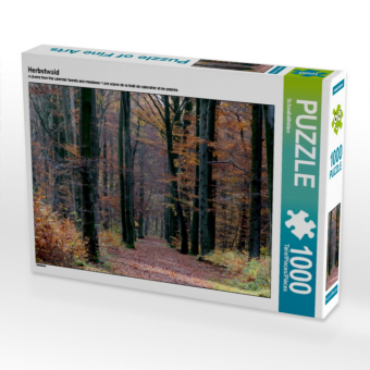 CALVENDO Puzzle Herbstwald | 1000 Teile Lege-Größe 64x48cm F...