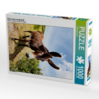 CALVENDO Puzzle Esel in der Landschaft | 1000 Teile Lege-Größe 64x48cm Foto-Puzzle für glückliche Stunden