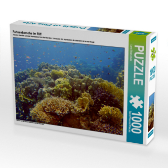CALVENDO Puzzle Fahnenbarsche im Riff | 1000 Teile Lege-Größ...