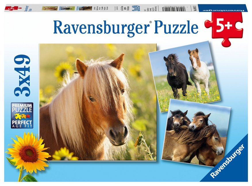 Ravensburger Kinderpuzzle - 08011 Liebe Pferde - Puzzle für Kinder ab 5 Jahren, Puzzle mit 3x49 Teilen main product photo
