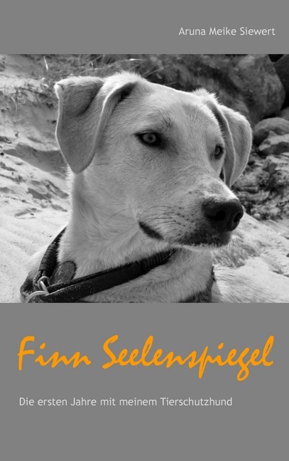 Finn Seelenspiegel main product photo