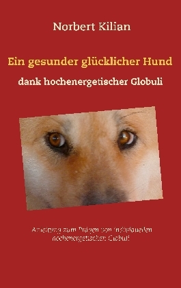 Ein gesunder glücklicher Hund dank hochenergetischer Globuli main product photo