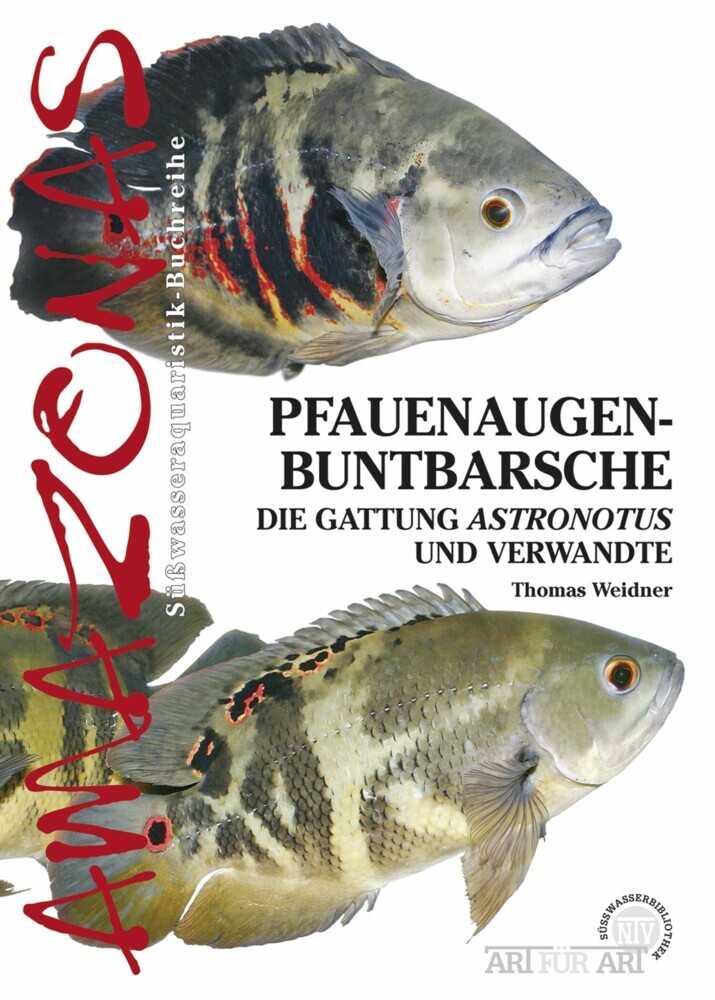Pfauenaugenbuntbarsche main product photo