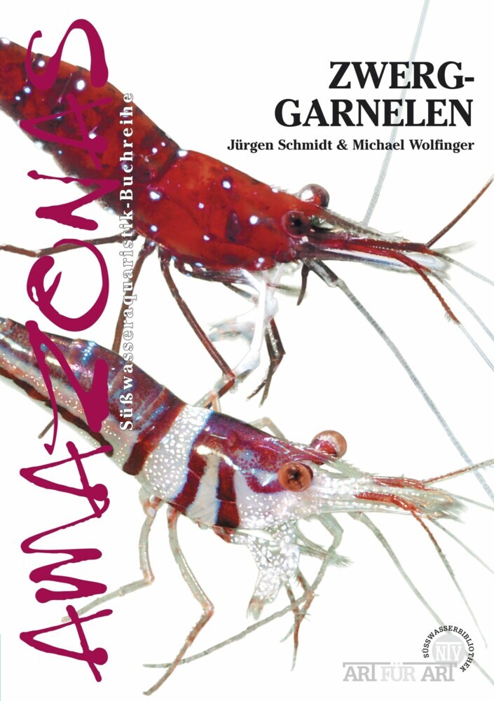 Zwerggarnelen im Süßwasseraquarium main product photo