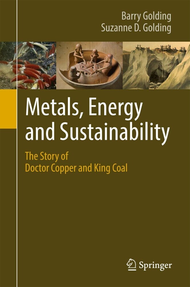Metals, Energy and Sustainability main product photo