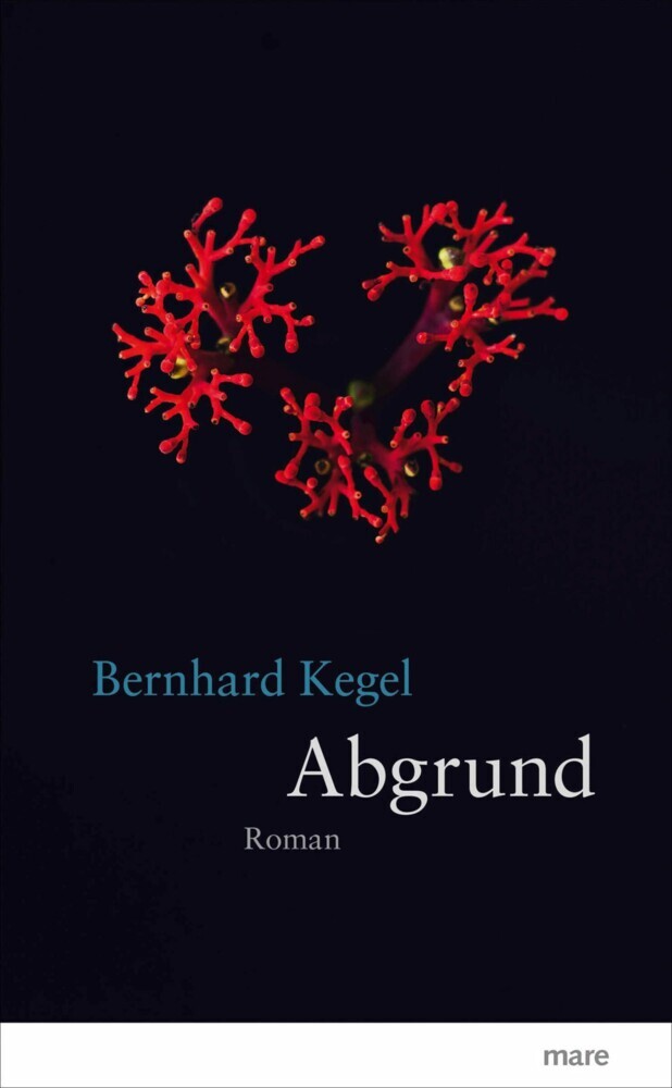 Abgrund main product photo