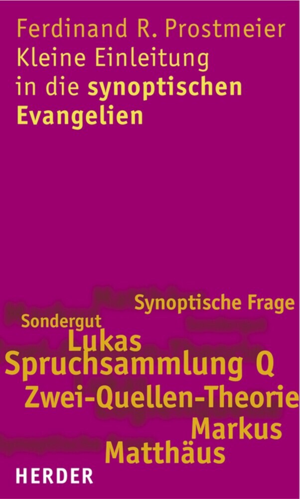 Kleine Einleitung in die synoptischen Evangelien main product photo