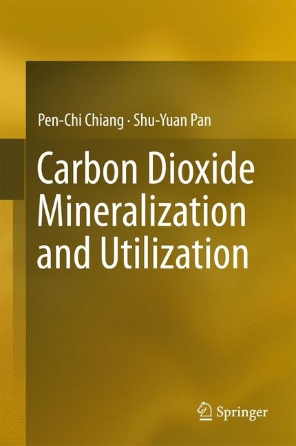 Carbon Dioxide Mineralization and Utilization main product photo