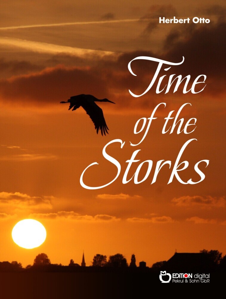 Time of the Storks main product photo