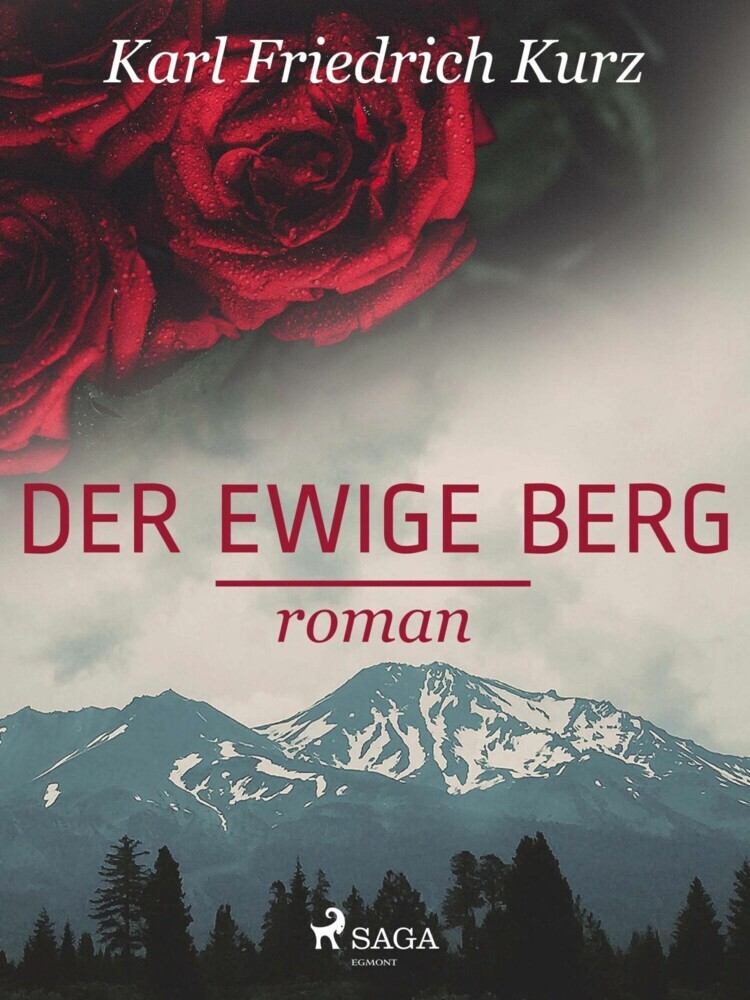 Der ewige Berg main product photo
