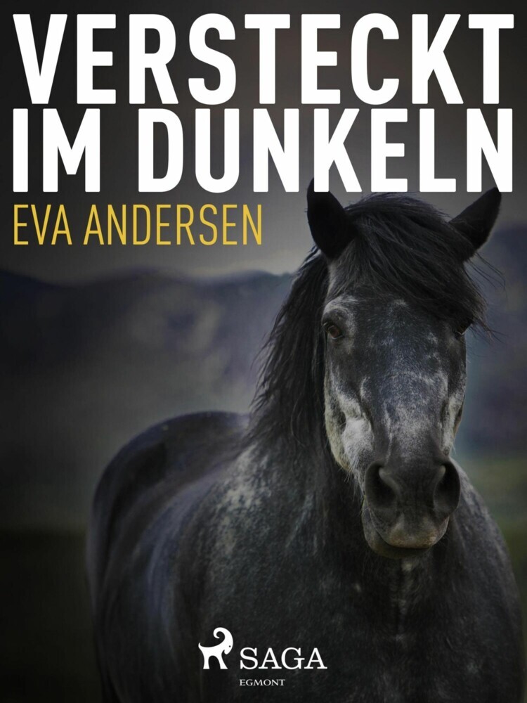 Versteckt im Dunkeln main product photo