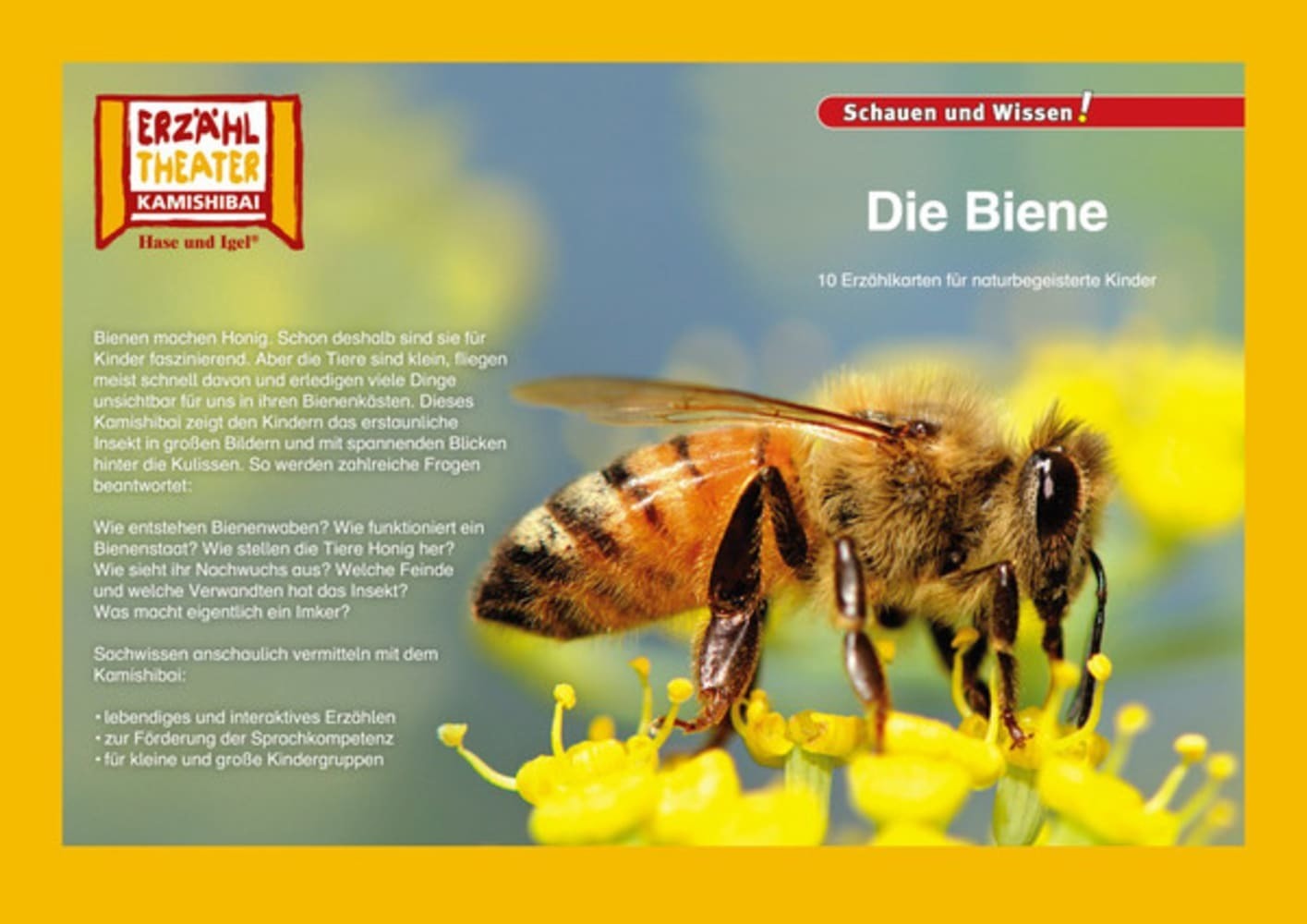 Die Biene / Kamishibai Bildkarten main product photo