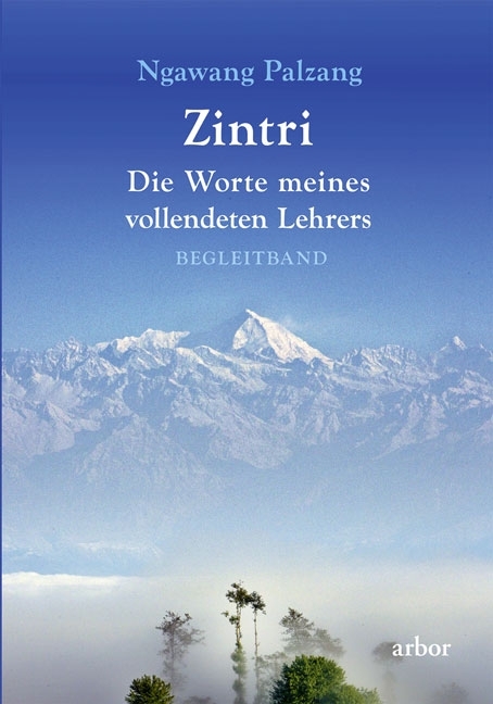 Zintri main product photo