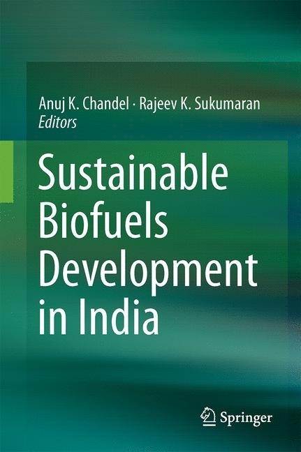 Sustainable Biofuels Development in India main product photo