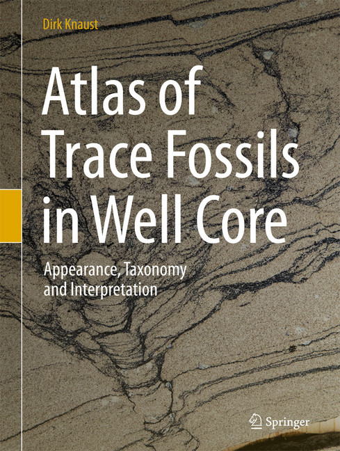 Atlas of Trace Fossils in Well Core main product photo