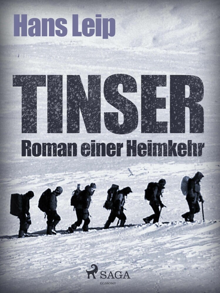 Tinser main product photo