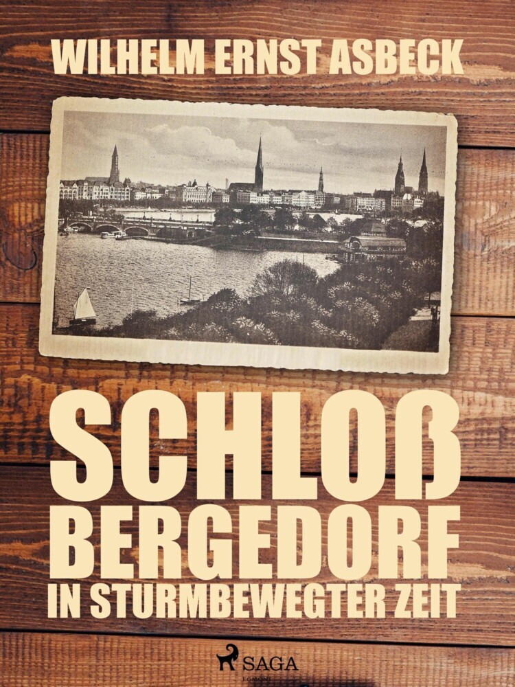 Schloss Bergedorf in sturmbewegter Zeit main product photo