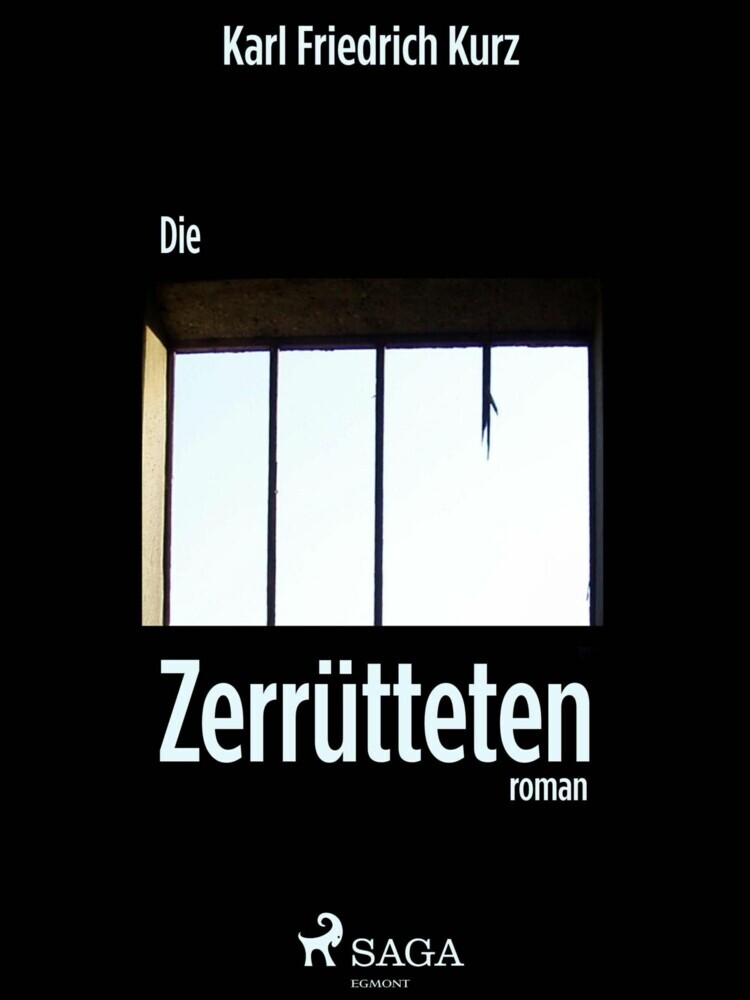 Die Zerrütteten main product photo