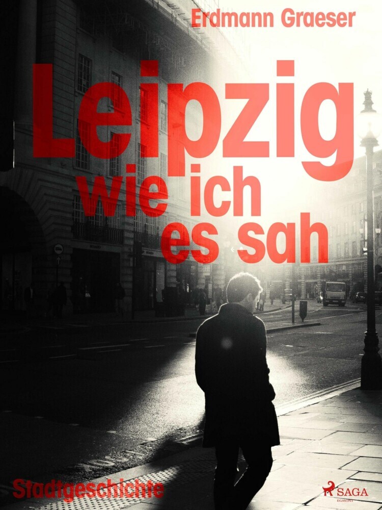 Leipzig - wie ich es sah main product photo