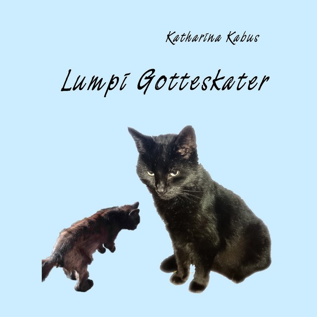 Lumpi Gotteskater main product photo
