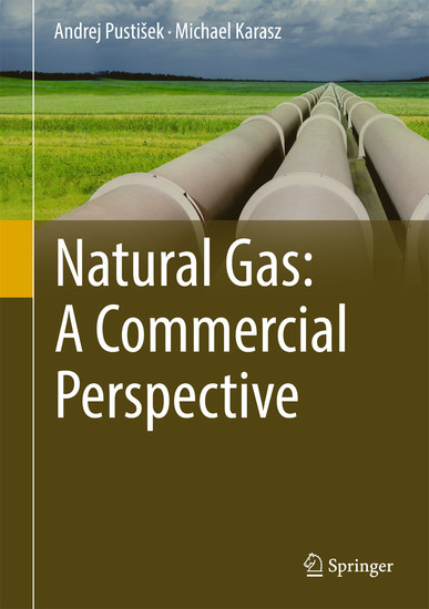 Natural Gas: A Commercial Perspective main product photo