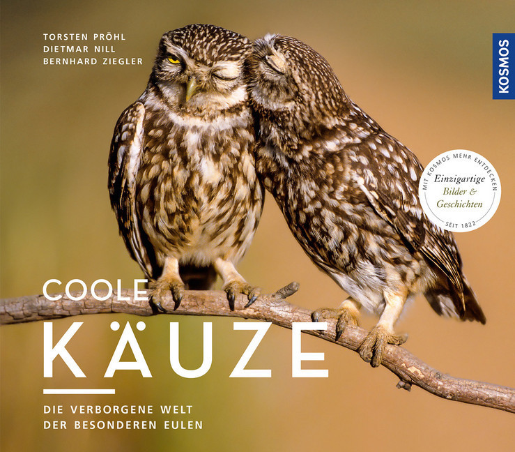 Coole Käuze main product photo