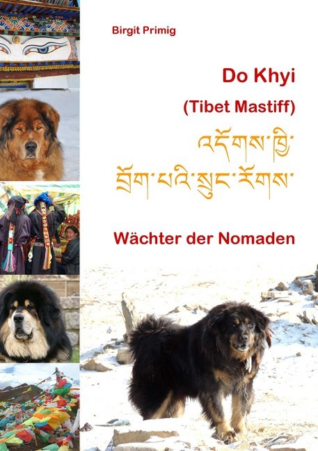 Do Khyi (Tibet Mastiff) main product photo
