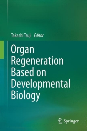 Organ Regeneration Based on Developmental Biology