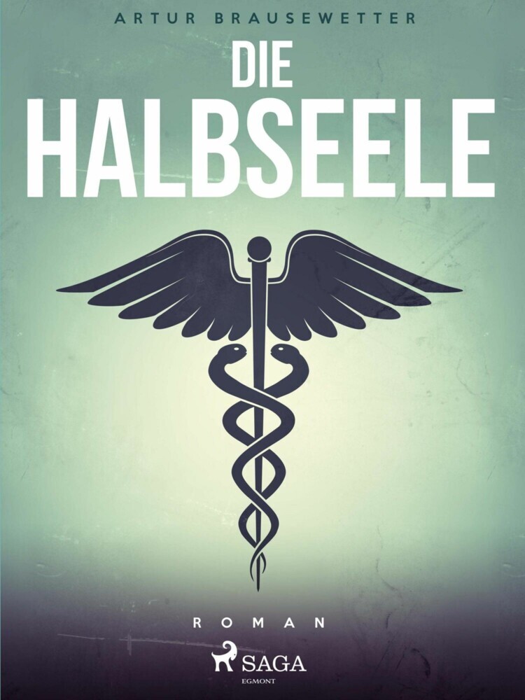Die Halbseele main product photo