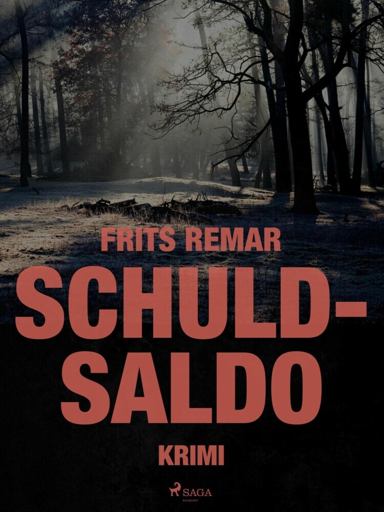 Schuldsaldo main product photo