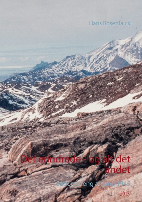 Det erindrede - og alt det andet main product photo