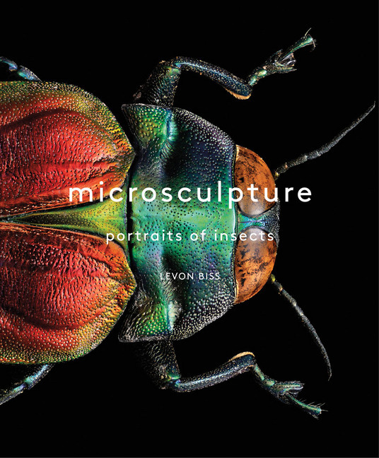 Microsculpture main product photo