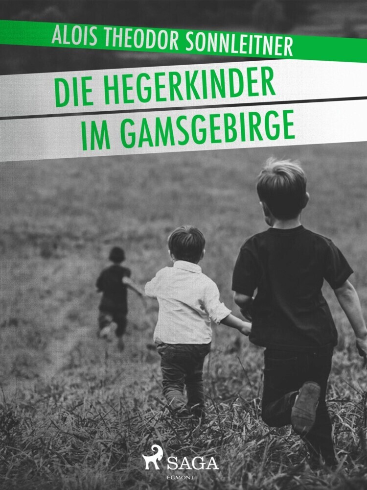 Die Hegerkinder im Gamsgebirge main product photo